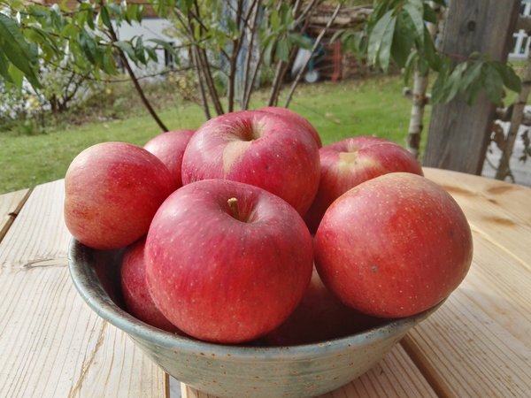 Äpfel Jonagold aus Deutschland 1 kg